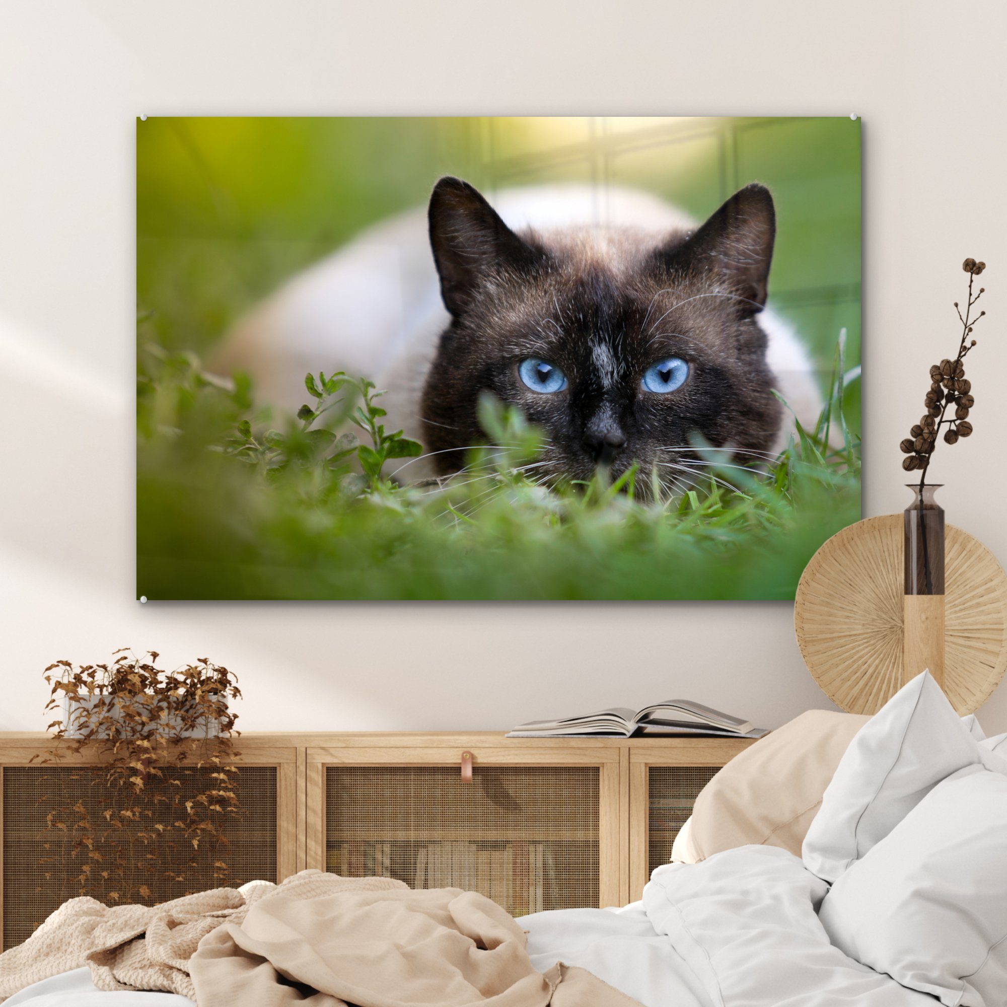 & (1 St), Wohnzimmer MuchoWow Acrylglasbild Gras - Schlafzimmer Porträt, - Acrylglasbilder Katze