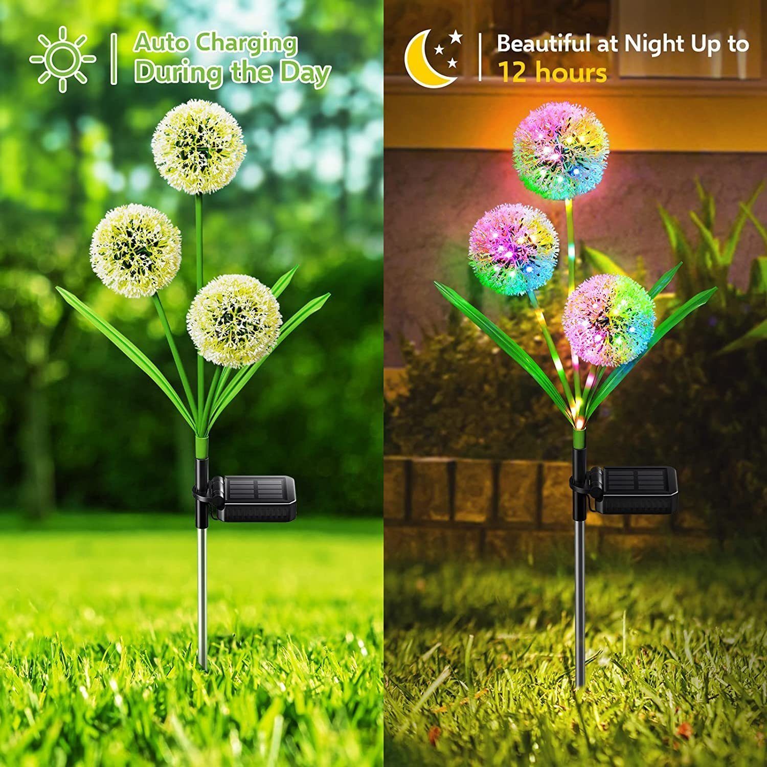 Ciskotu LED Solarleuchte Löwenzahn Solarleuchte Landschaftslampe Blumen Licht Garten Deko Lampe