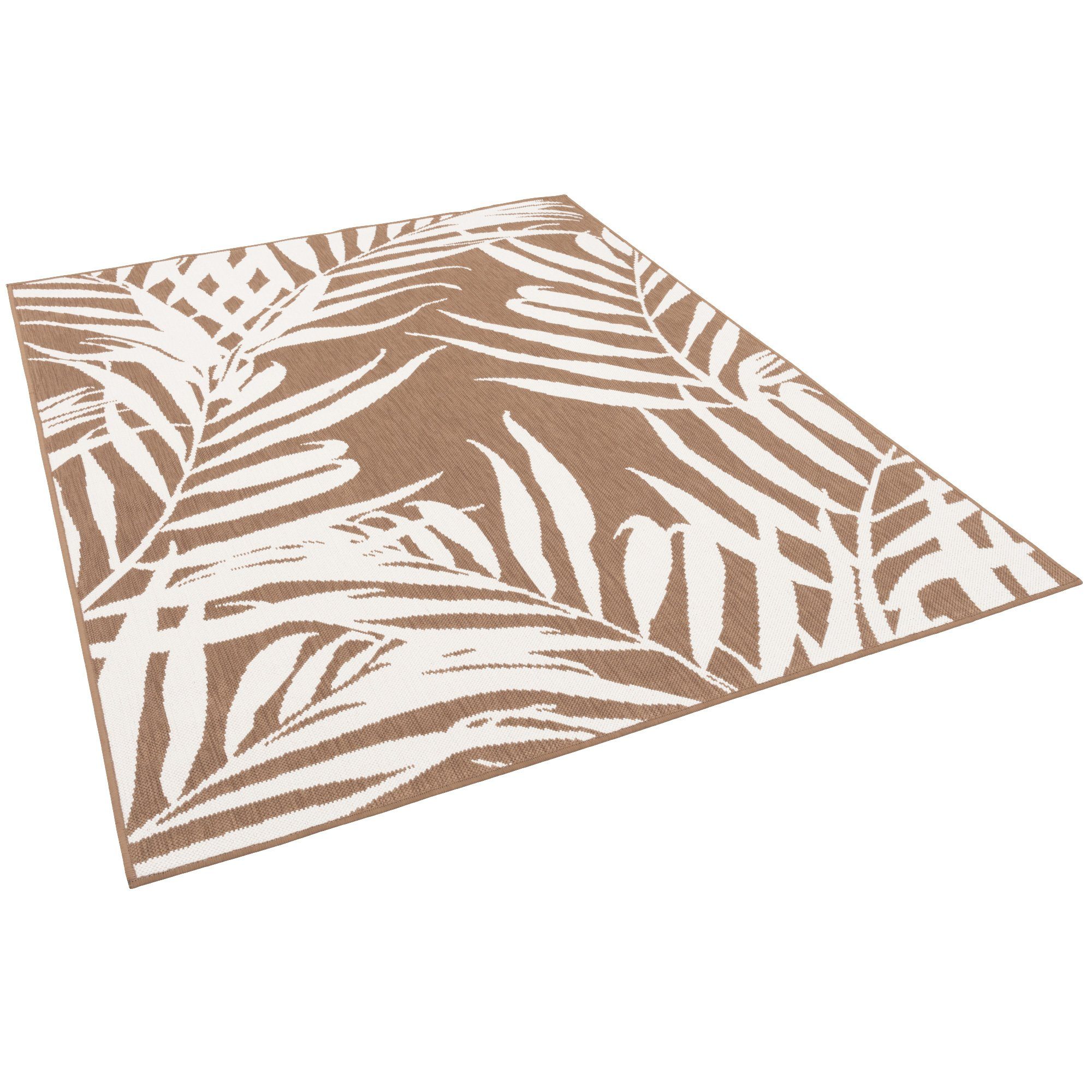 Beige Creme