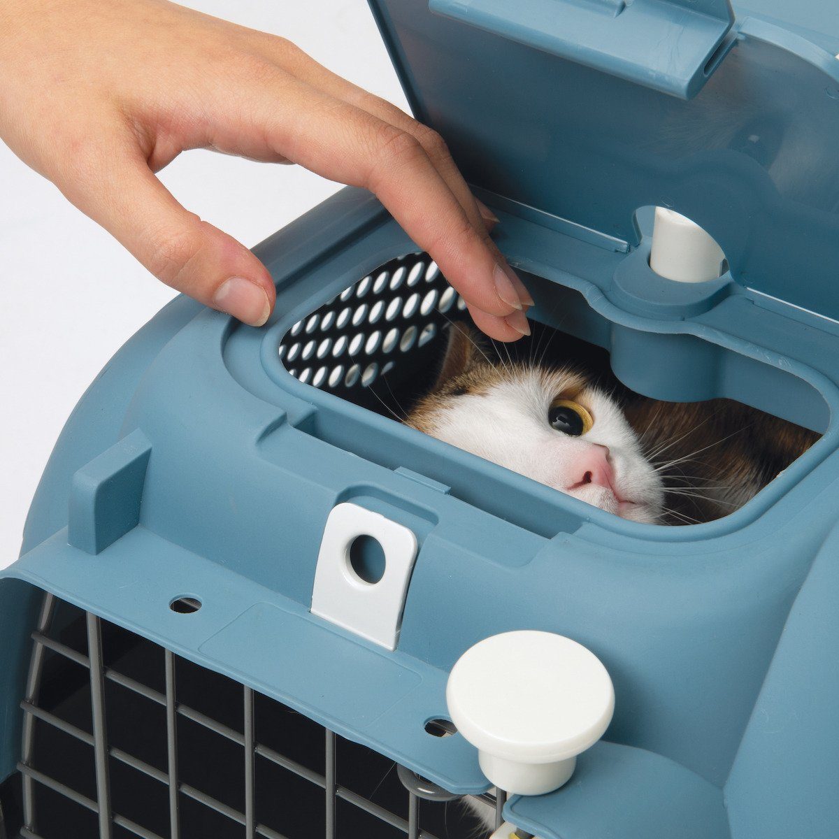 Catit Tiertransportbox Transportbox Voyageur blau-grau