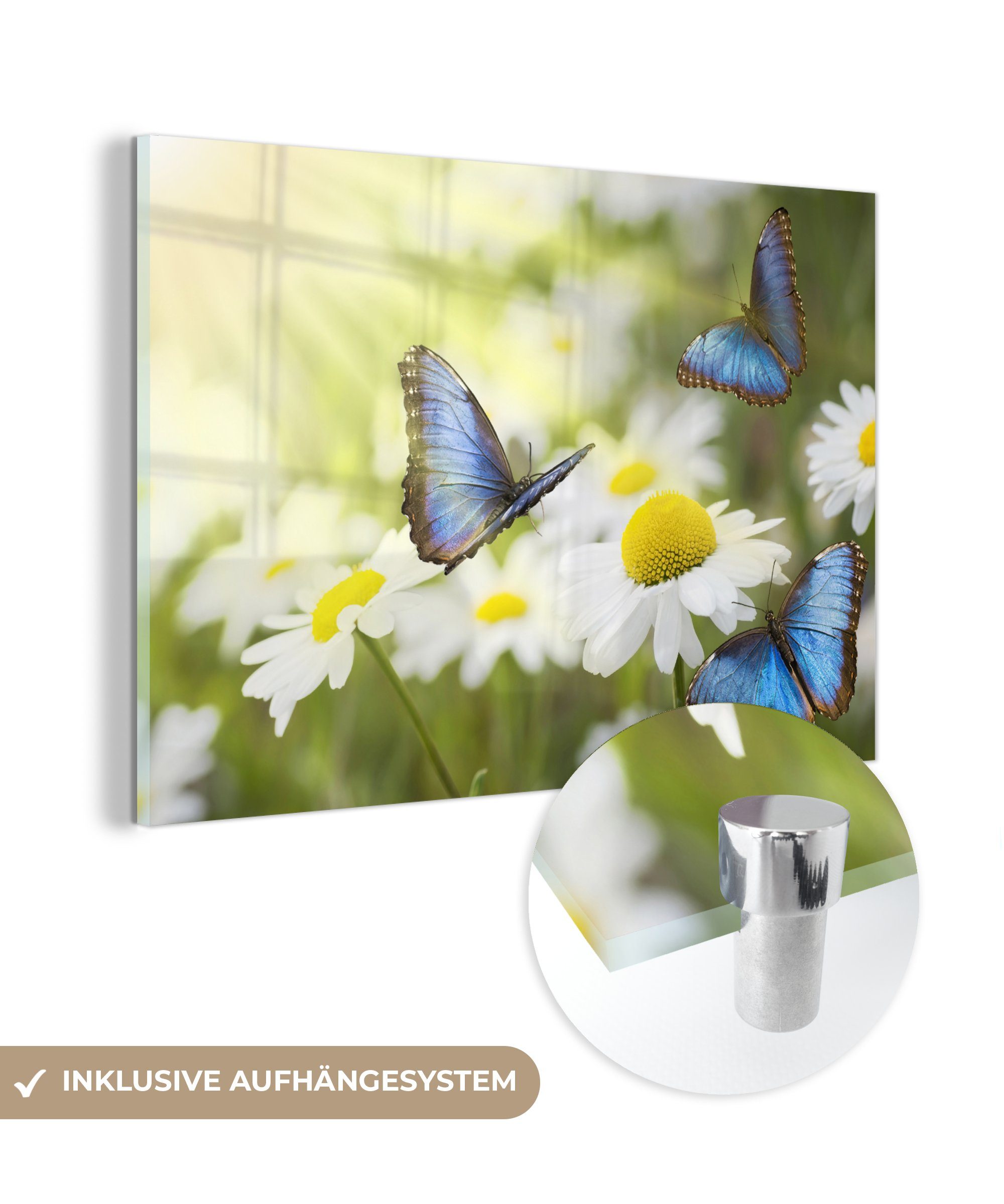 - Sommer, - St), Wohnzimmer Acrylglasbilder & Acrylglasbild Blumen Schlafzimmer MuchoWow (1 Schmetterlinge