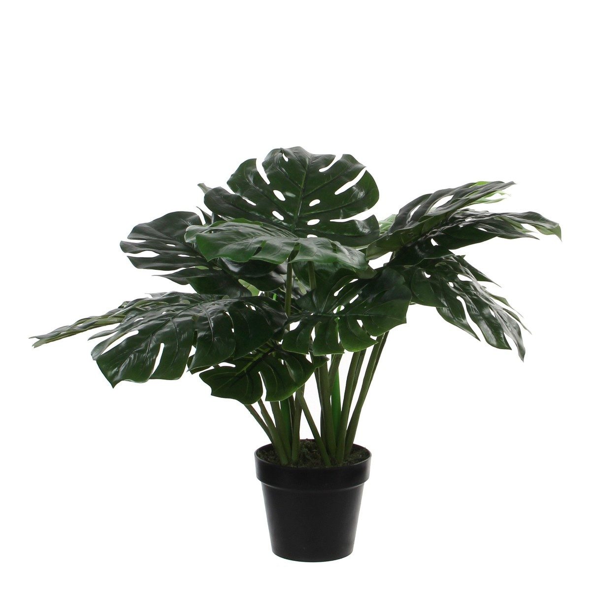 Kunstpflanze Mica Decorations Monstera In plastic Topf gruen - h60xd80cm, Mica Decorations, Höhe 60 cm
