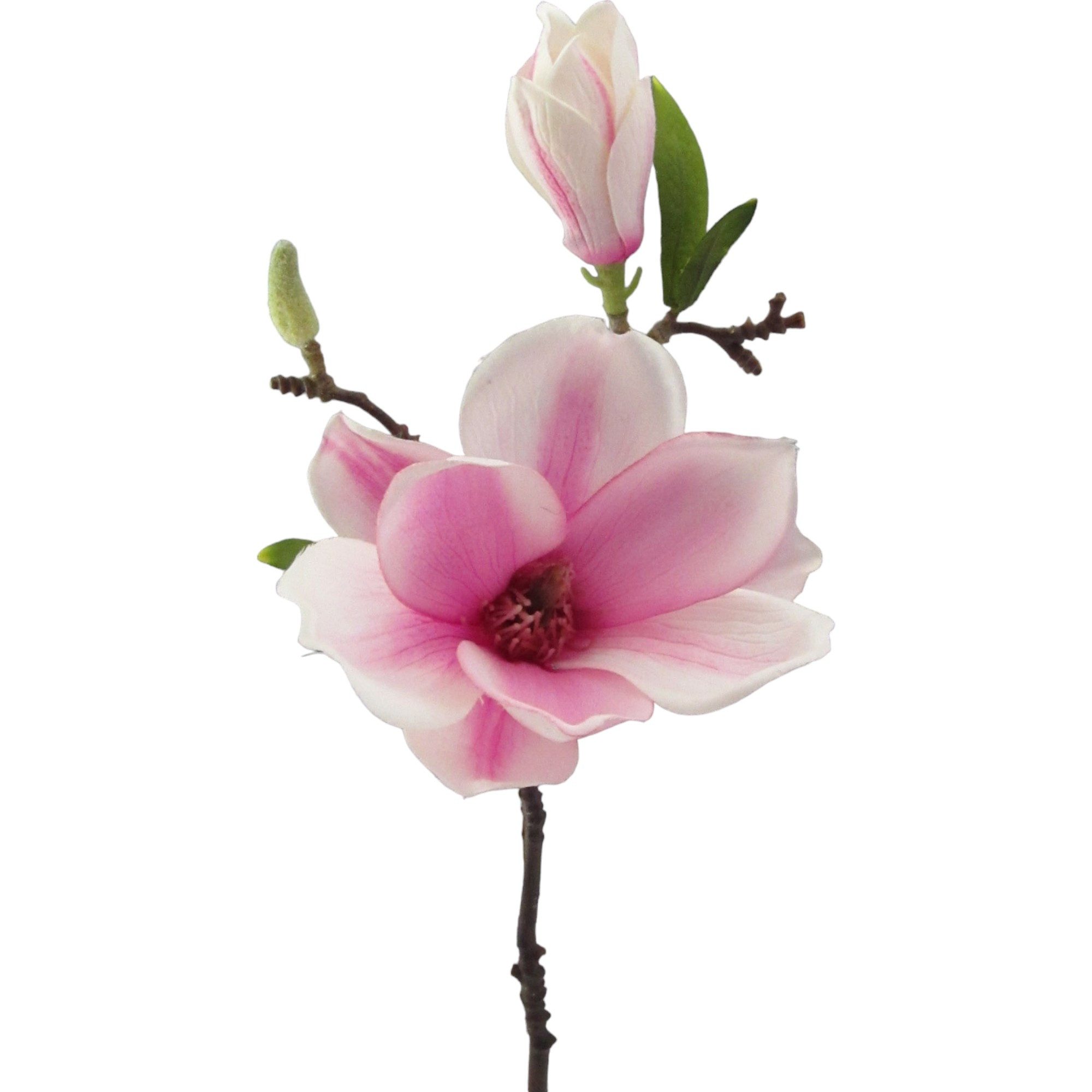 Kunstblume Kunstblume MAGNOLIE 37cm. Mit Magnolienblüte und Knospe., Gasper, Höhe 37.00 cm
