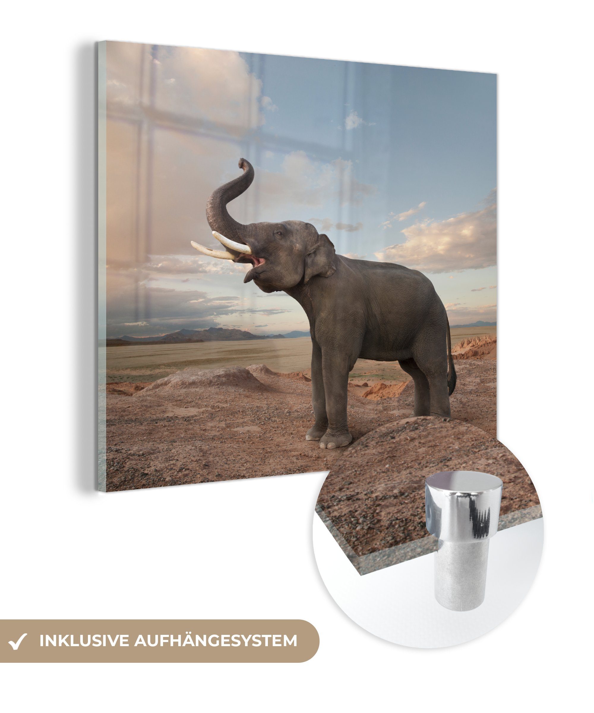 MuchoWow Acrylglasbild Trompetender Elefant in der Wüste, (1 St), Glasbilder - Bilder auf Glas Wandbild - Foto auf Glas - Wanddekoration bunt