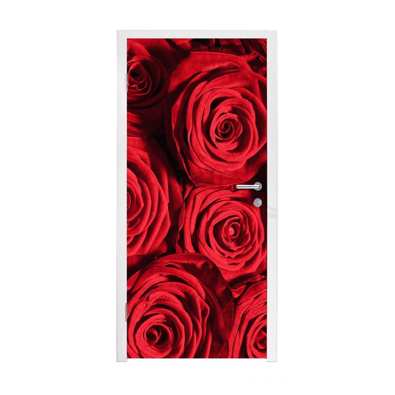 MuchoWow Türtapete Rosen - Rose - Rot, Matt, bedruckt, (1 St), Fototapete für Tür, Türaufkleber, 75x205 cm