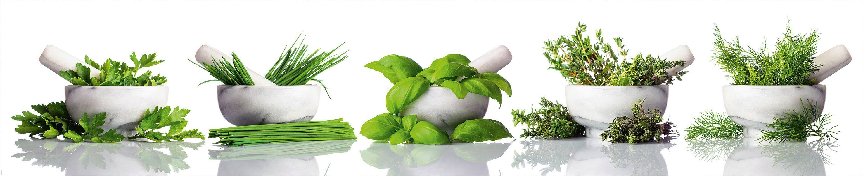 Express Küchen Küchenrückwand Kräuter, (1-tlg). Reduzierter Preis € 366,99. Unverbindliche Preisempfehlung € 583,10