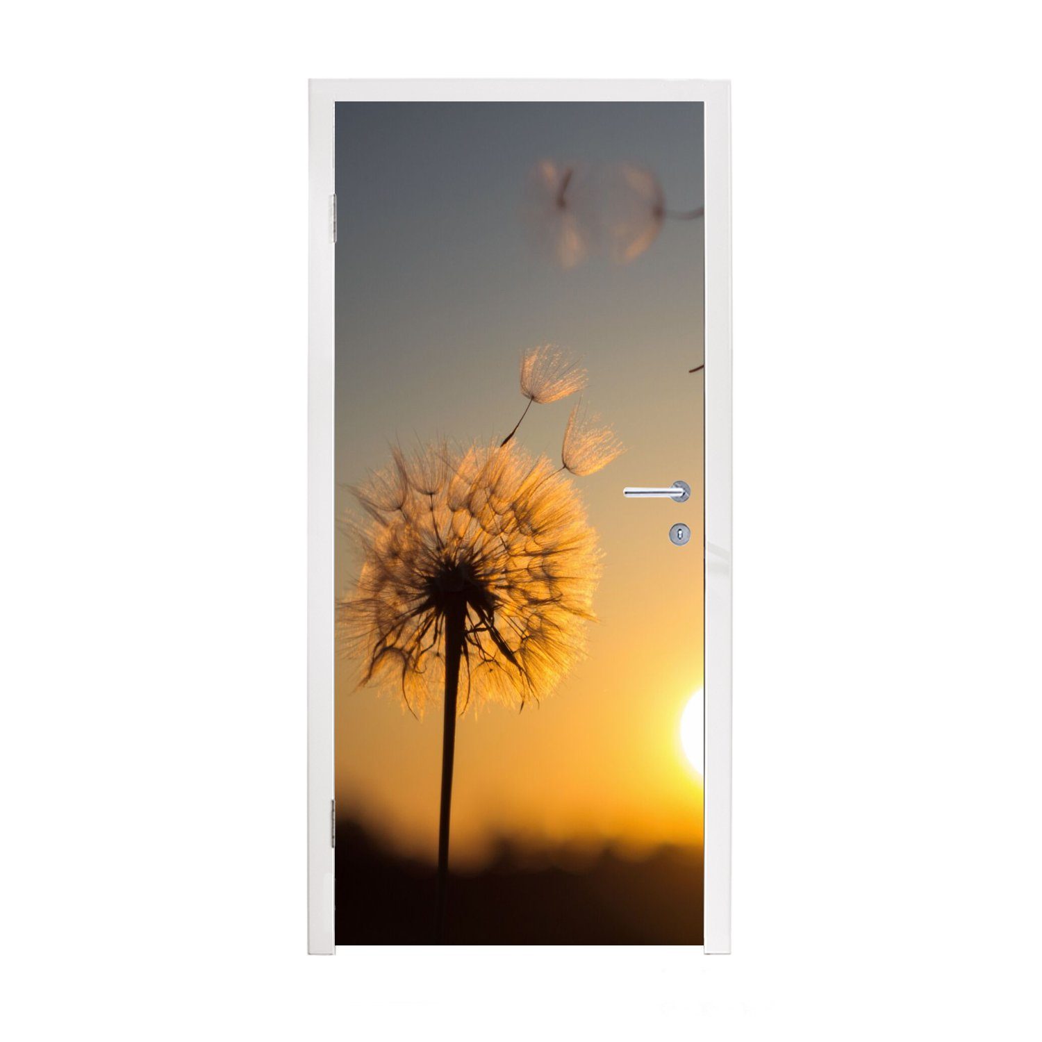 Sonnenuntergang, Matt, - Fototapete (1 Löwenzahn für Tür, Türtapete MuchoWow Türaufkleber, Sonne bedruckt, St), 75x205 - cm
