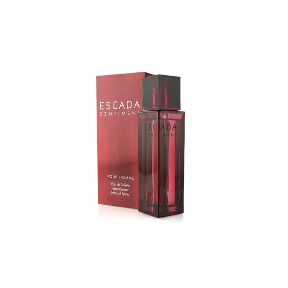 Eau de Toilette Sentiment Pour Homme Eau de Toilette 100ml