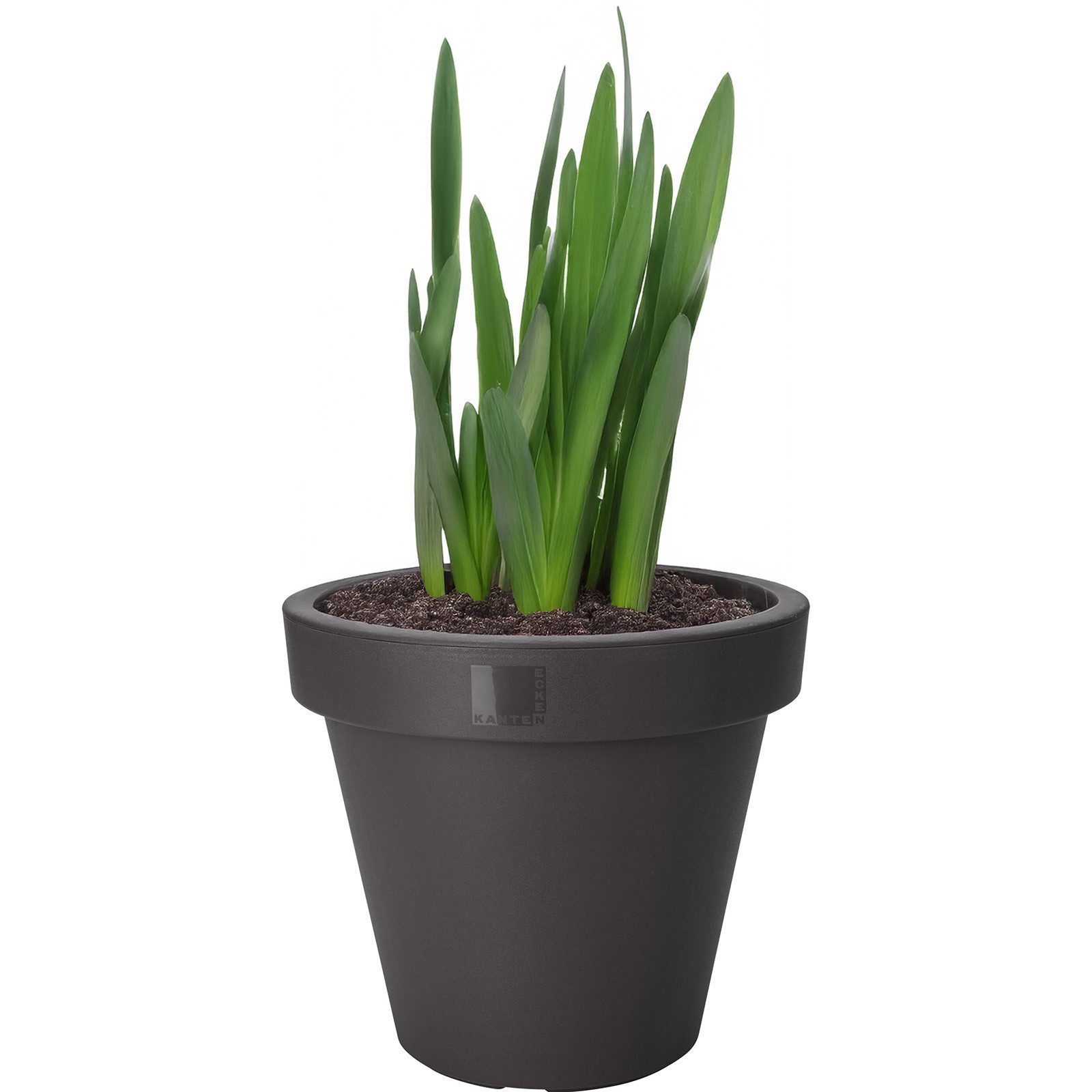 Koopman Blumentopf Blumenkübel Pflanzkübel 3 Größen 2/4 er Set (Set, 2 St., Packung), 2 Stk., Indoor & Outdoor, Schwarz, Kunststoff, Übertopf Garten