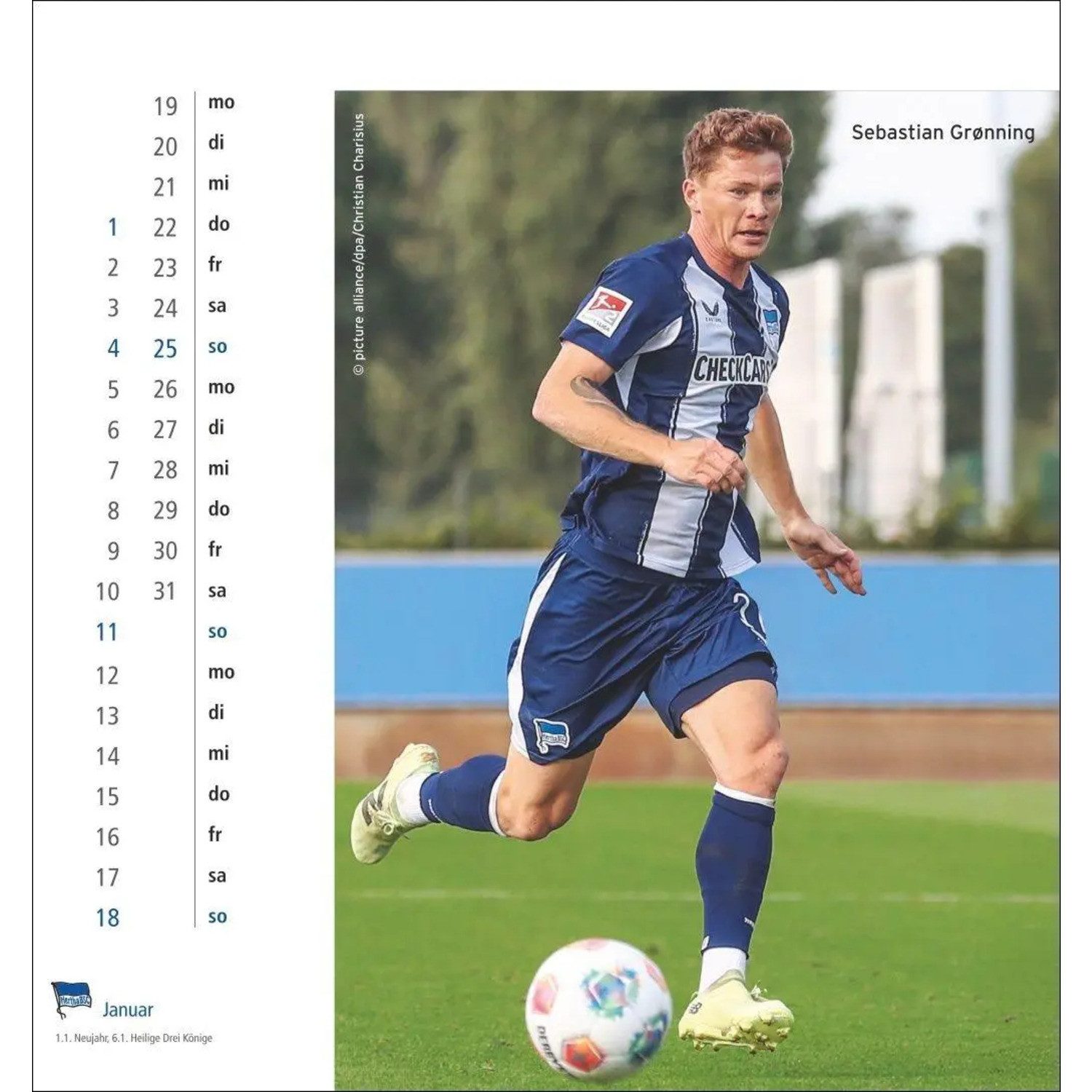 HEYE Wandkalender Hertha BSC Postkartenkalender 2026