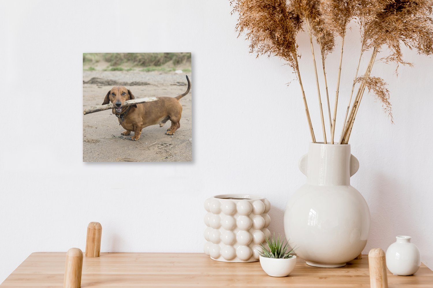 Wohnzimmer Bilder OneMillionCanvasses® mit Stock St), Maul, im Schlafzimmer einem für Dackel Leinwand Ein (1 Leinwandbild schöner