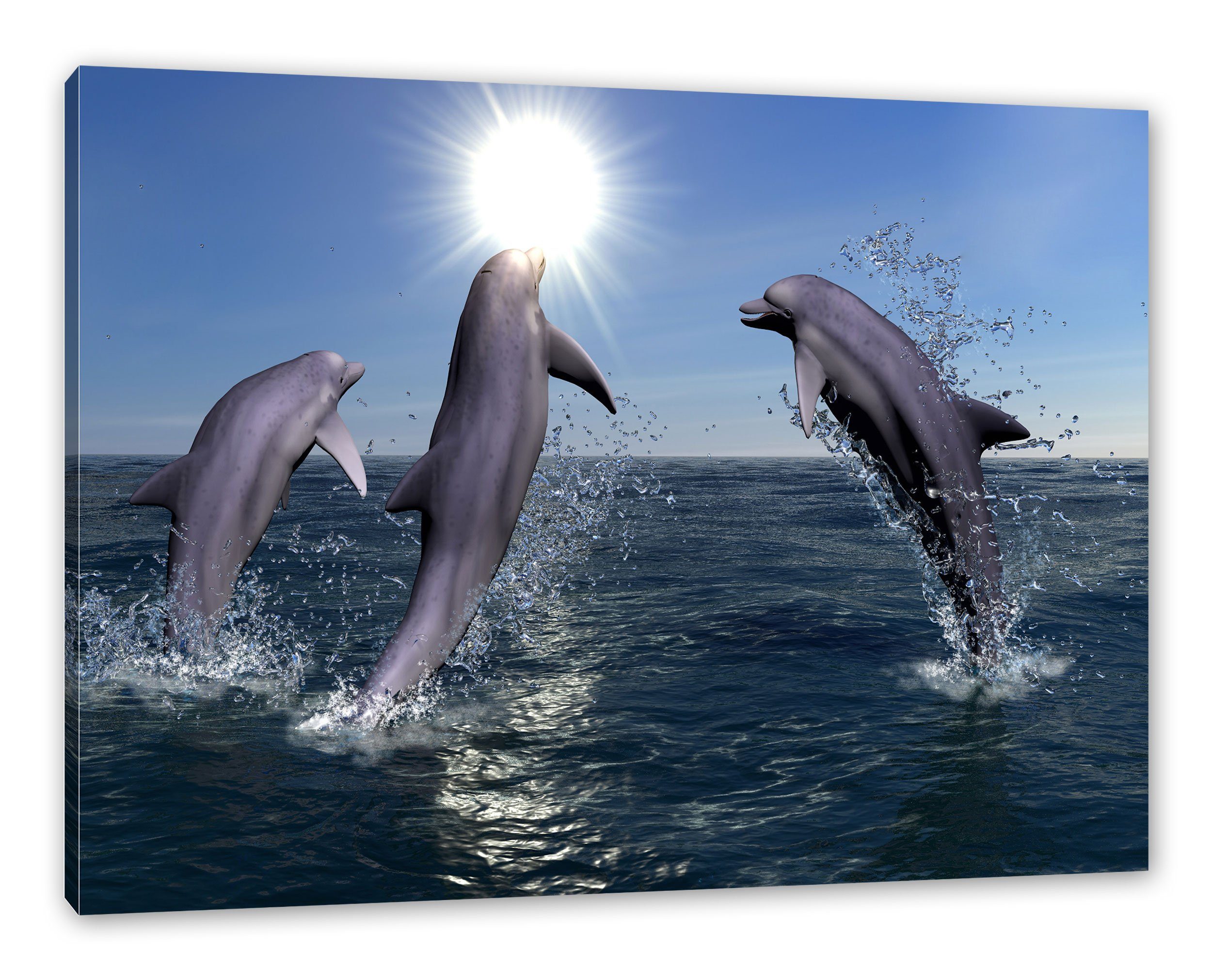 Leinwandbild Delphine fertig Leinwandbild inkl. bespannt, Delphine, (1 St), springende Pixxprint springende Zackenaufhänger