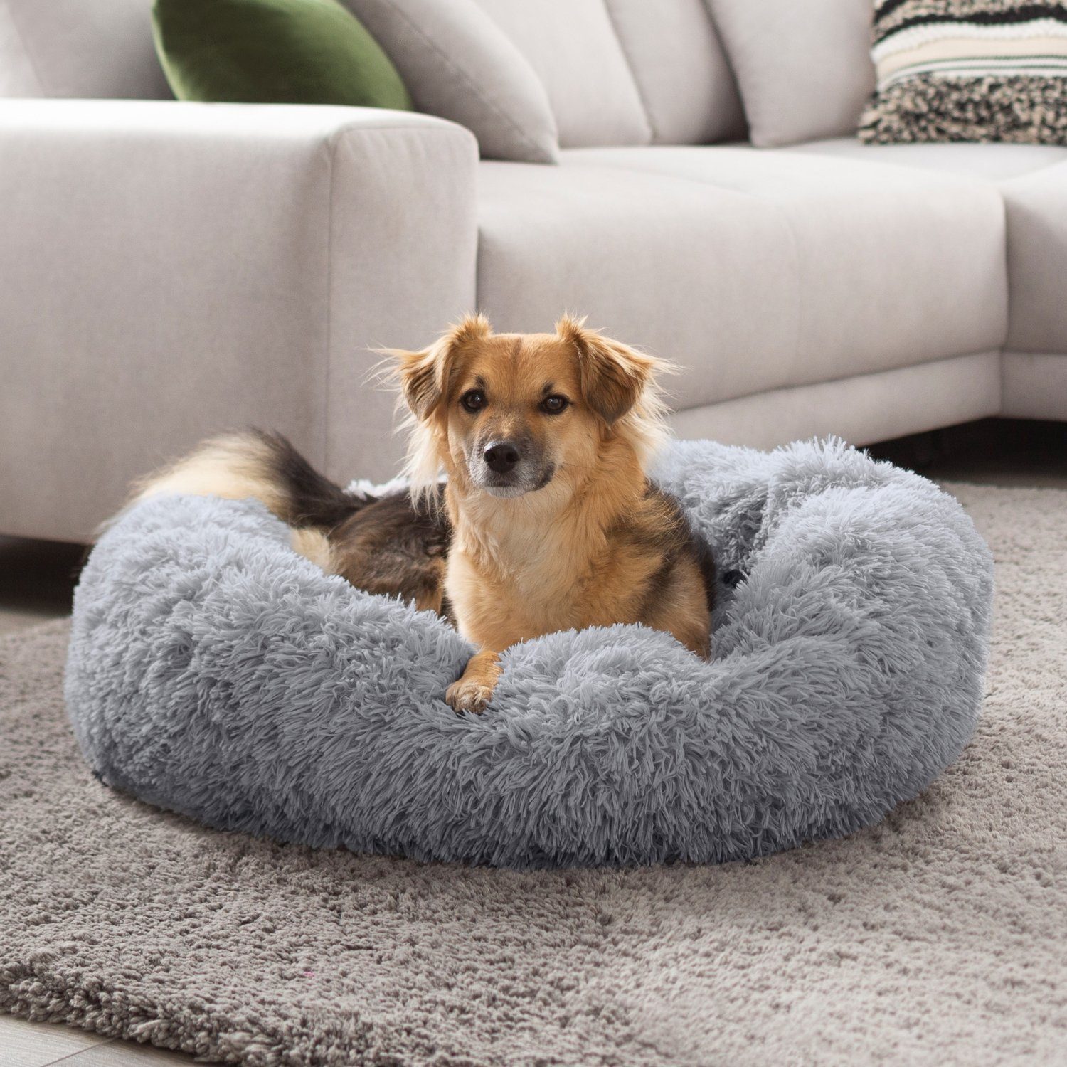 PETSTUFF Tierkissen Hundekissen Hundebett Hundematratze Hundematte, günstig online kaufen