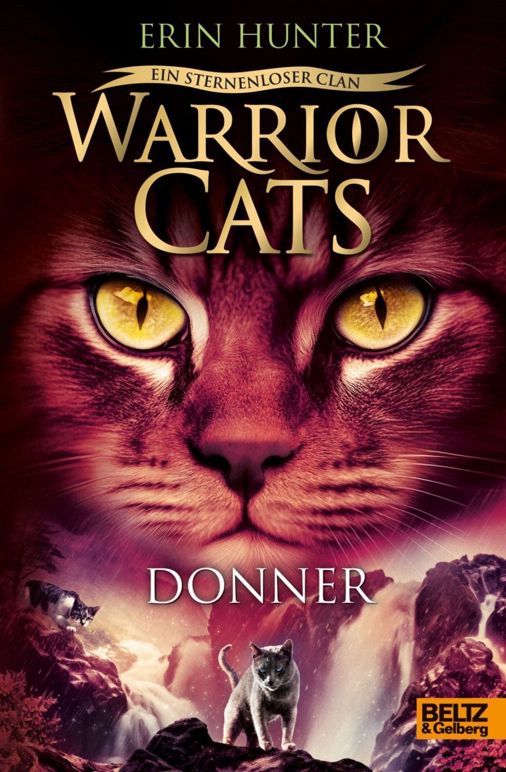Warrior Cats - Ein sternenloser Clan. Donner / Erin Hunter