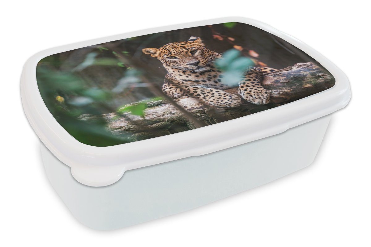 MuchoWow Lunchbox Panther - Dschungel - Tiere, Kunststoff, (2-tlg), Brotbox für Kinder und Erwachsene, Brotdose, für Jungs und Mädchen weiß