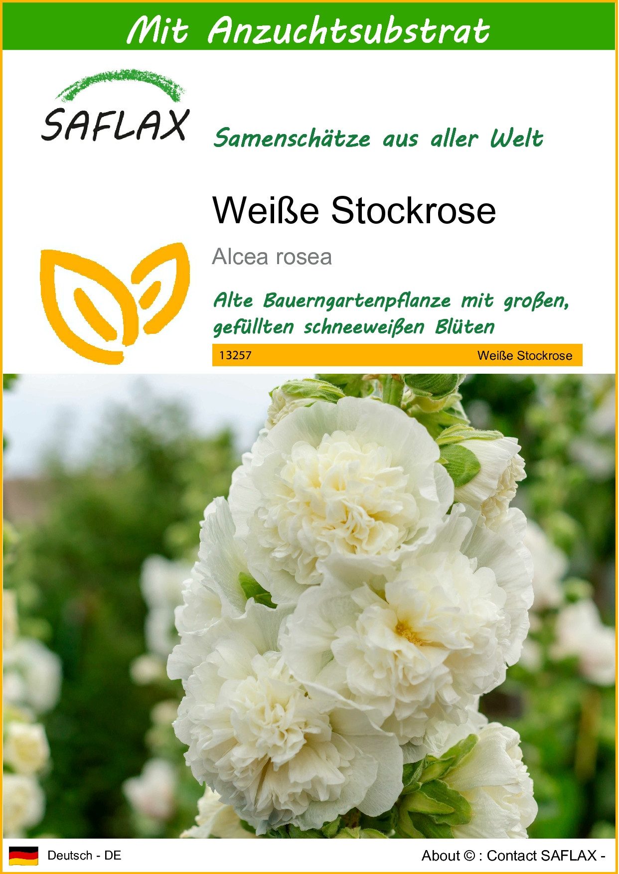 SAFLAX Blumensamen SAFLAX - Samen und Substrat - Weiße Stockrose