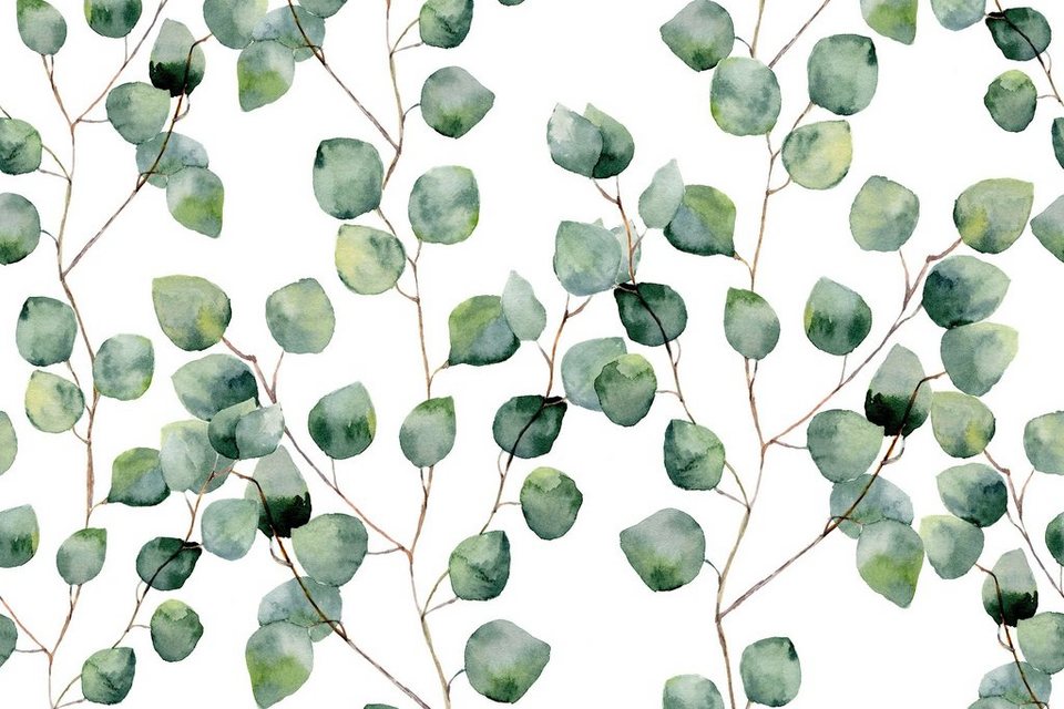 queence Küchenrückwand Eukalyptus - Spritzschutz Wandschutz für Herd &  Spüle - Alu-Dibond, (1-tlg), 60x40x0,3 cm - Hitzebeständig -  Herdspritzschutz - Aquarell - Blätter