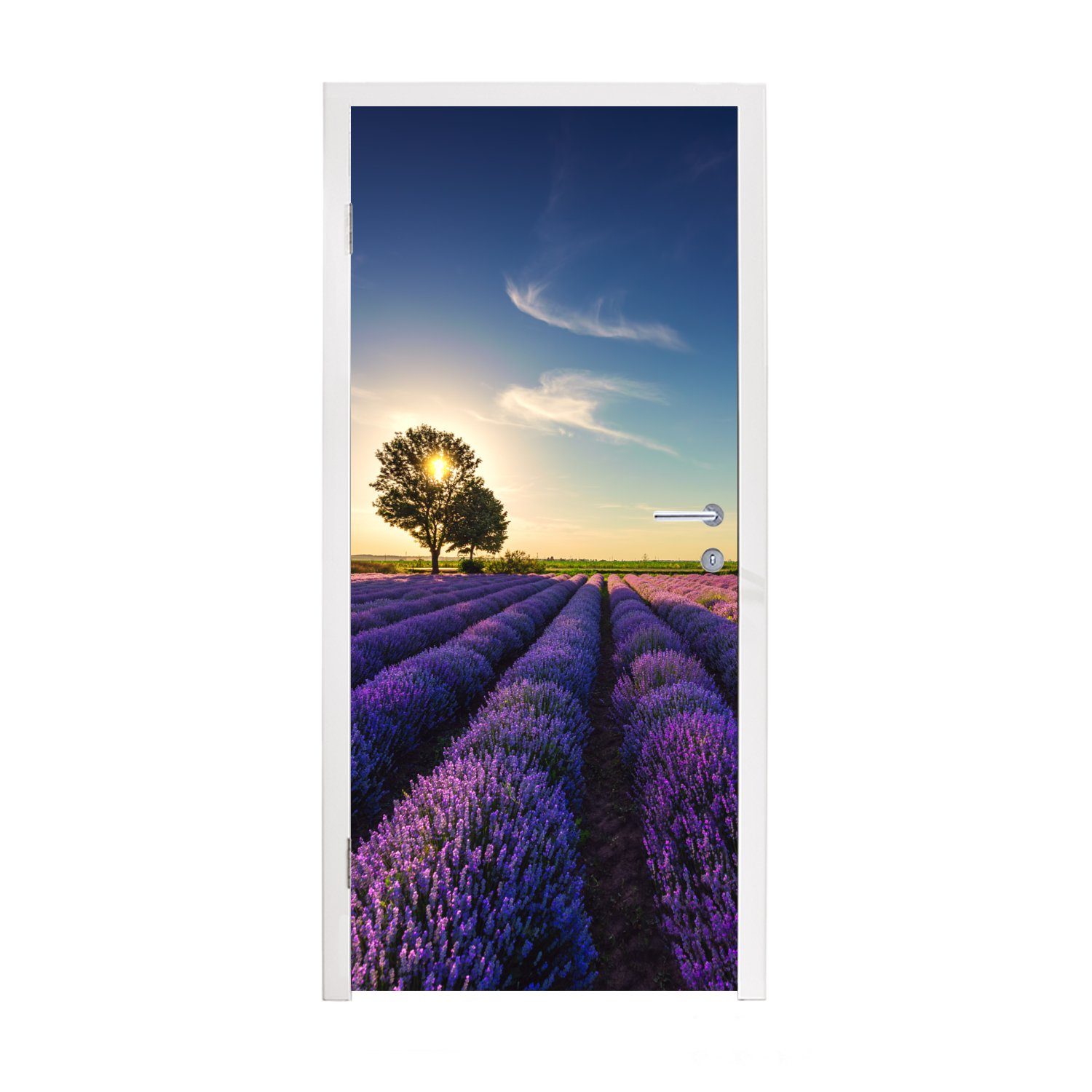 MuchoWow Türtapete Lavendel - Sonne - Baum - Blumen - Lila, Matt, bedruckt, (1 St), Fototapete für Tür, Türaufkleber, 75x205 cm