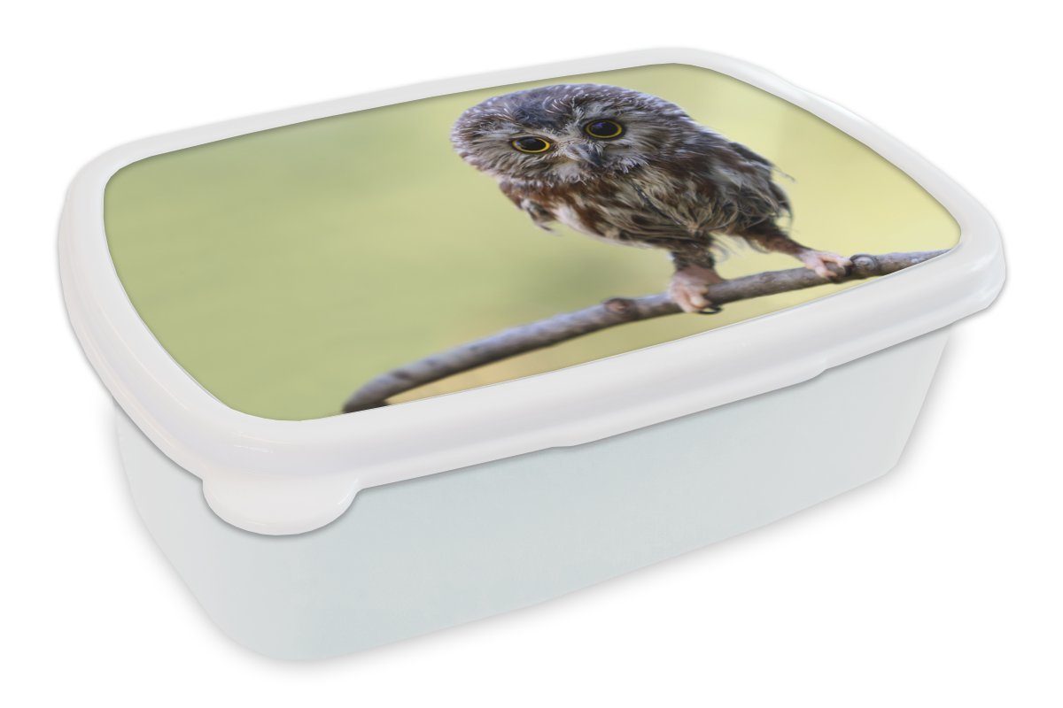 MuchoWow Lunchbox Eule - Vogel - Wald, Kunststoff, (2-tlg), Brotbox für Kinder und Erwachsene, Brotdose, für Jungs und Mädchen weiß