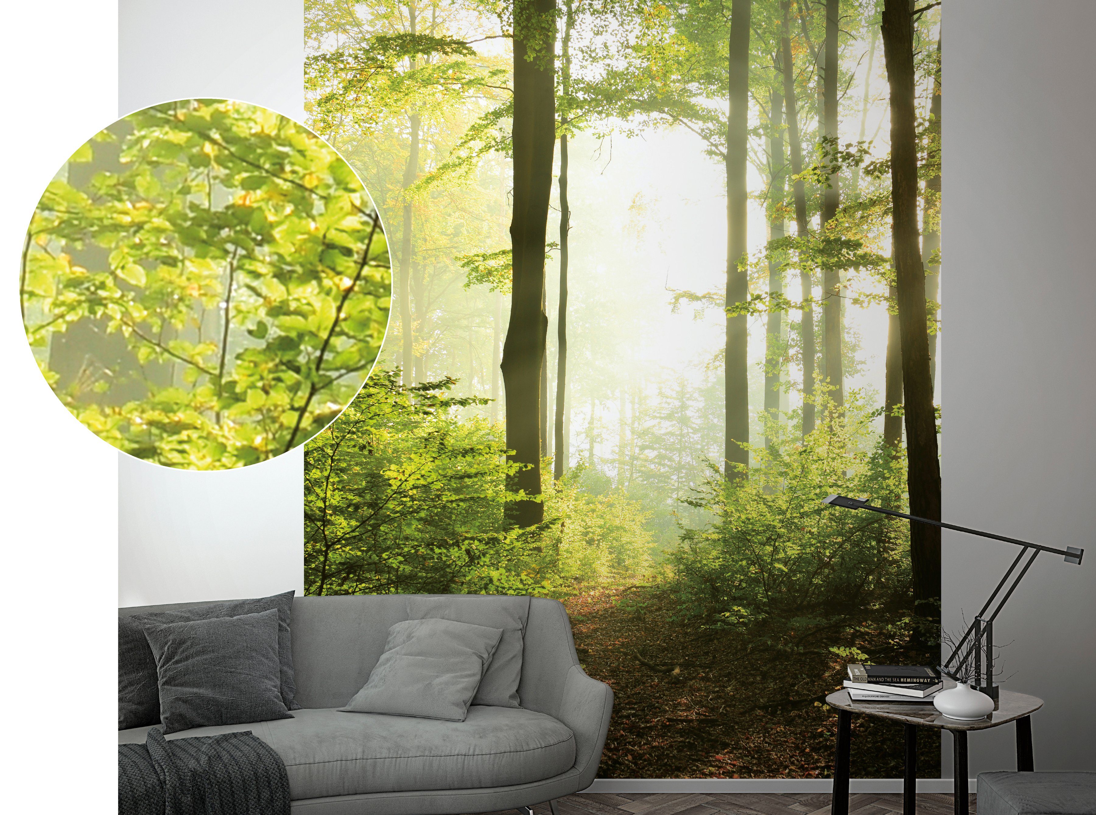 Marburg Fototapete, Holz, Wald, moderne Tapete für Wohnzimmer Schlafzimmer Küche