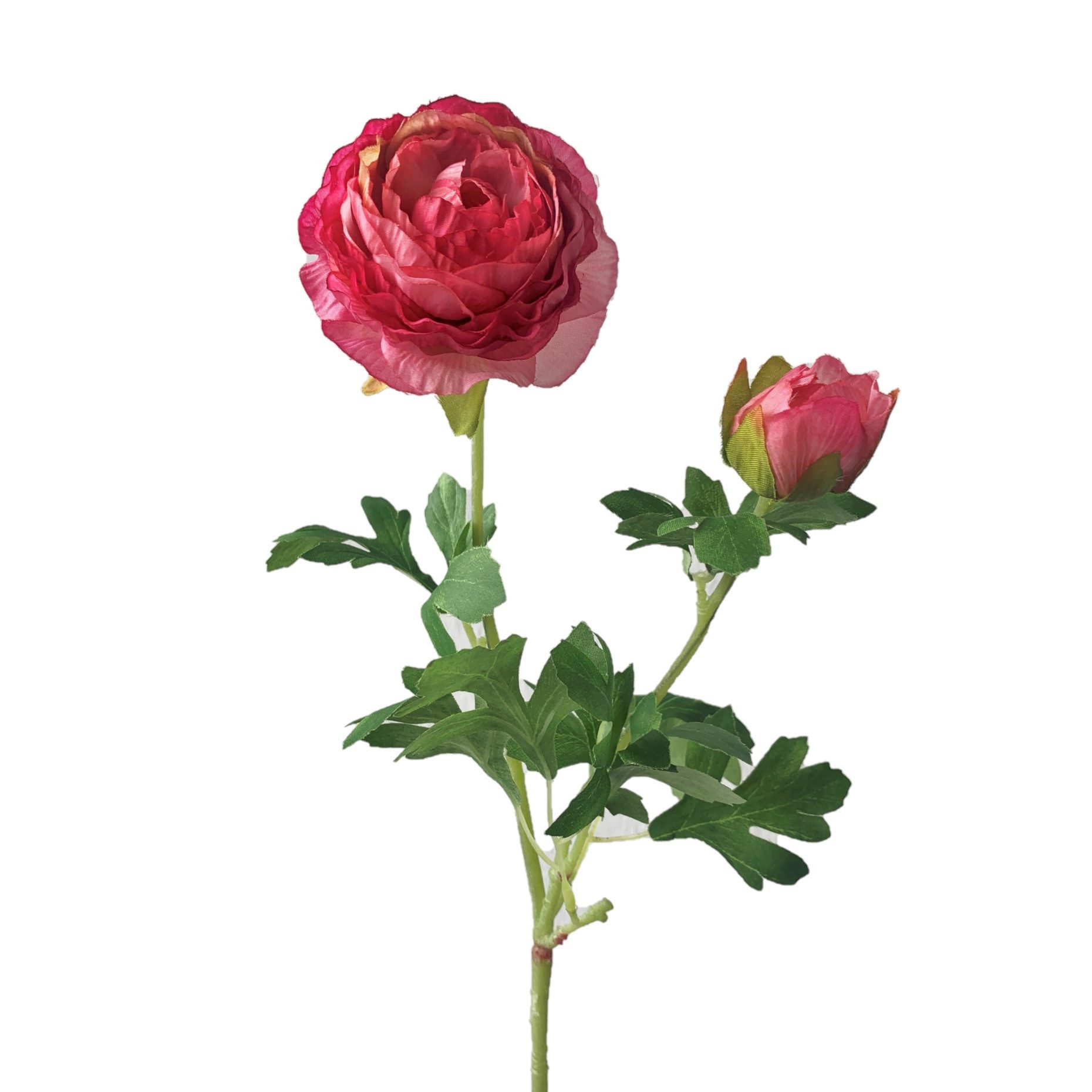 Kunstblume Kunstblume, Seidenblume RANUNKEL ca 40cm, Gasper, Höhe 40.00 cm