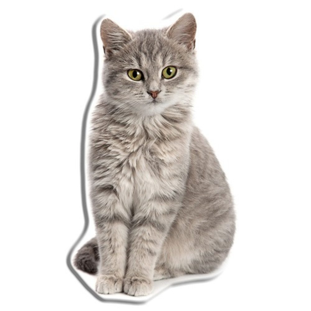 Carbotex Dekokissen Katze Dekokissen 45 cm