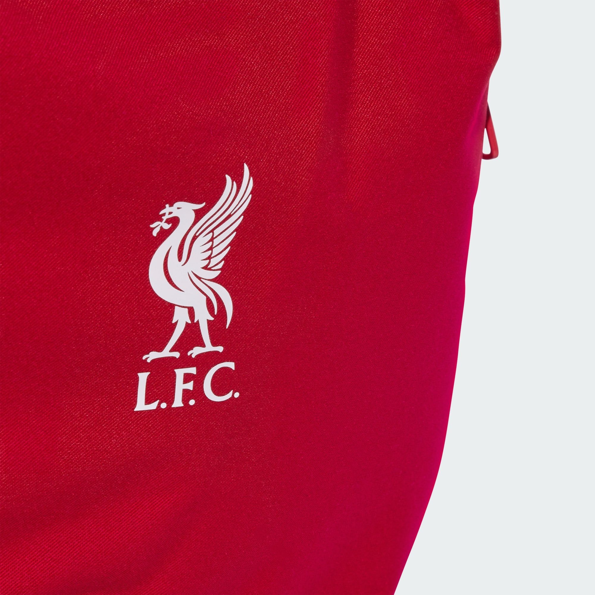 adidas Performance Sportrucksack LIVERPOOL FC RUCKSACK (1-tlg)