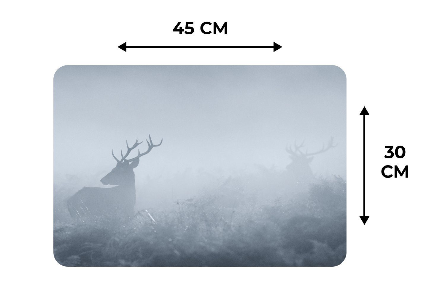 Hirsche Platzset, - Schmutzabweisend Nebel (6-St), - Natur, Tischmatten, MuchoWow, Platzset, Platzmatte, Platzdecken,