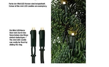 Hellum LED-Lichterkette LED-Lichterkette 20 BS warmweiß/grün, innen
