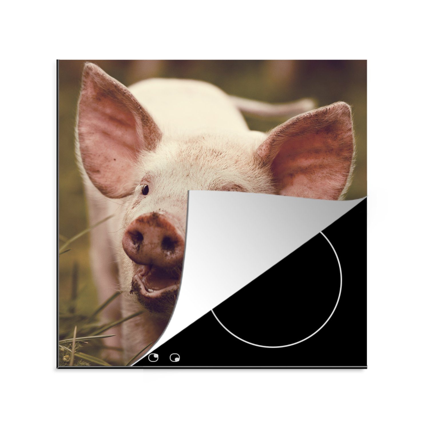 Porträt cm, Schwein Herdblende-/Abdeckplatte 78x78 MuchoWow - (1 - Arbeitsplatte Tier, Vinyl, tlg), für küche Ceranfeldabdeckung,