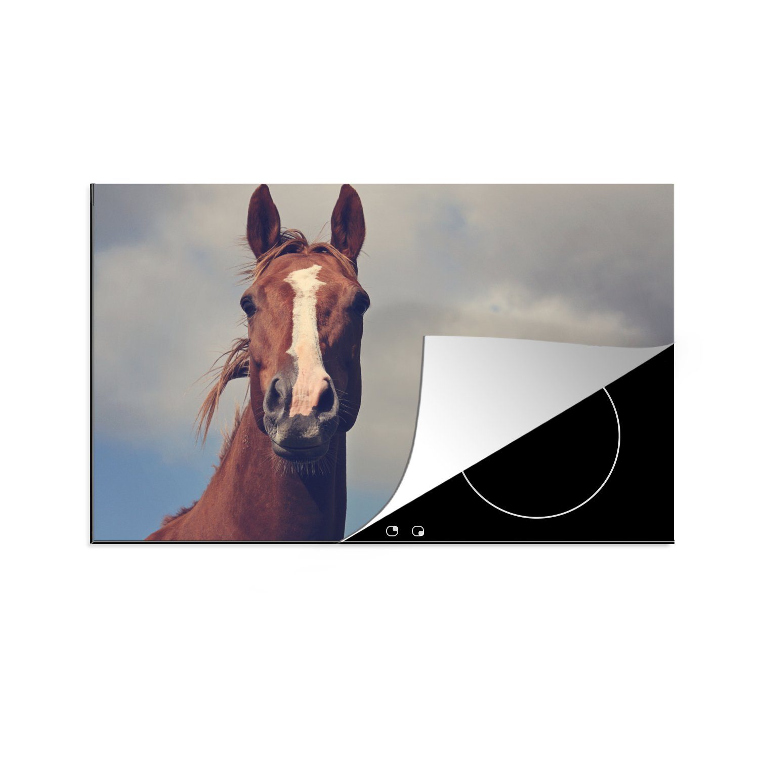 Pferd die küche, - Ceranfeldabdeckung (1 Induktionskochfeld MuchoWow für Luft - Vinyl, Schutz cm, Herdblende-/Abdeckplatte tlg), 81x52 Blau,