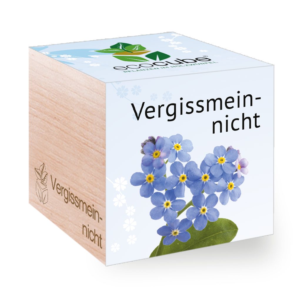 Feel Green Blumenerde Ecocube Vergissmeinnicht von Feel Green, Nachhaltige Geschenkidee, (1-St)