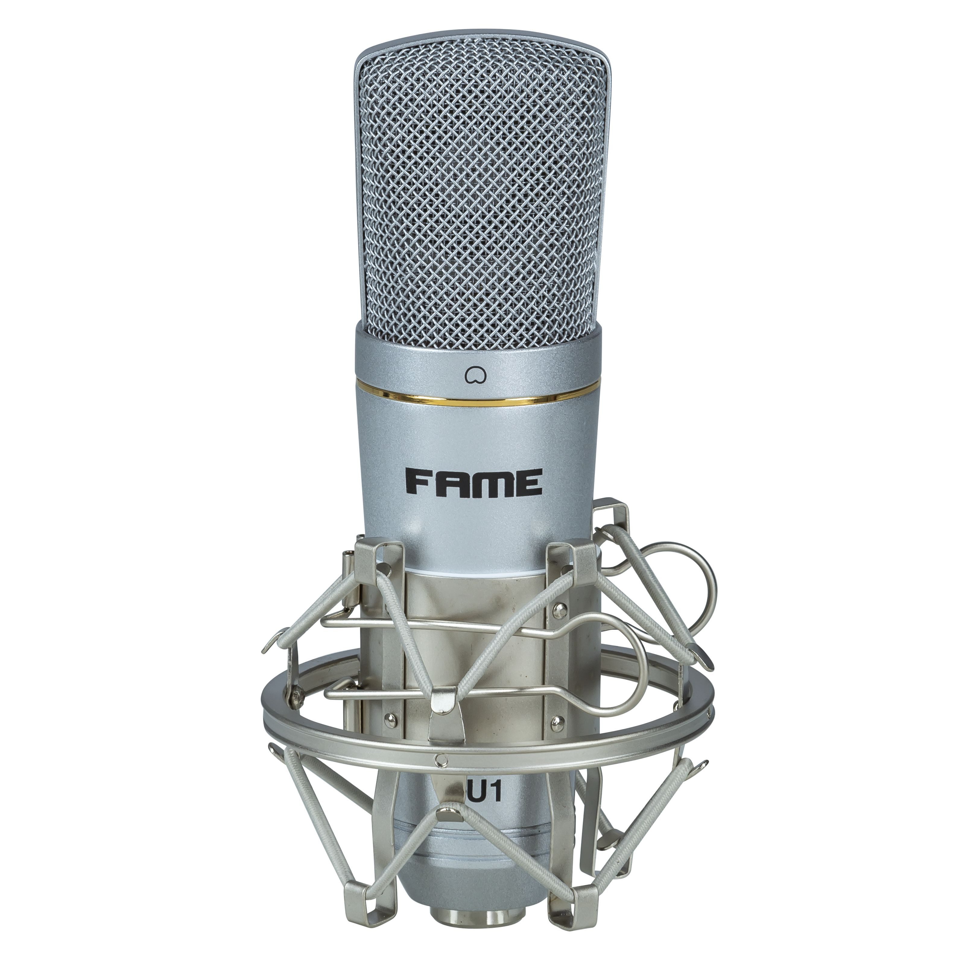 FAME Mikrofon (Audio USB Kondensator Mikrofon-Set für Podcast und Streaming silber Nierencharakteristik inkl. Zubehör), USB Kondensator Mikrofon, Podcast Mikrofon, Streaming Mikrofon