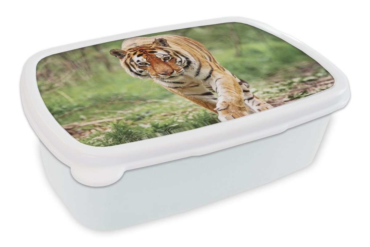 Erwachsene, und Wald Lunchbox Brotdose, - MuchoWow für Kinder Laufen, Jungs Mädchen weiß Kunststoff, für Tiger Brotbox (2-tlg), - und