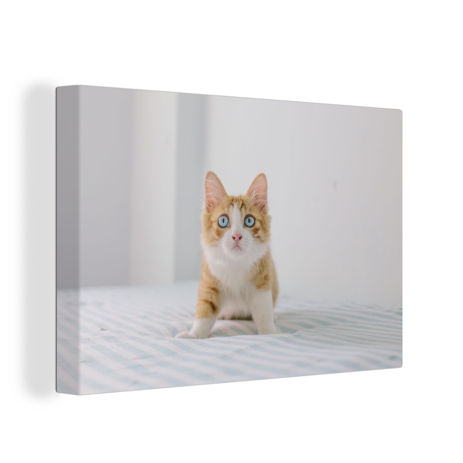 OneMillionCanvasses® Leinwandbild Kätzchen - Blau - Orange - Mädchen - Jungen - Kind, (1 St), Wandbild Leinwandbilder, Aufhängefertig, Wanddeko, 30x20 cm bunt
