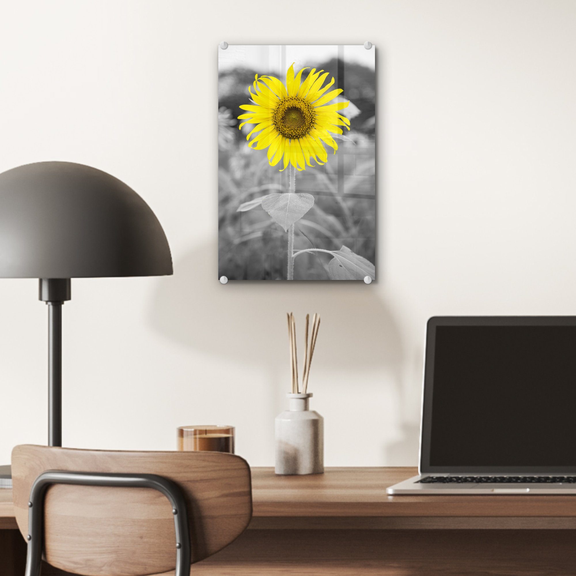 - St), auf - - - - Gelb - Acrylglasbild Foto Bilder - Blumen Glasbilder Weiß, Wanddekoration Sonnenblume Glas Wandbild Schwarz MuchoWow auf (1 Glas