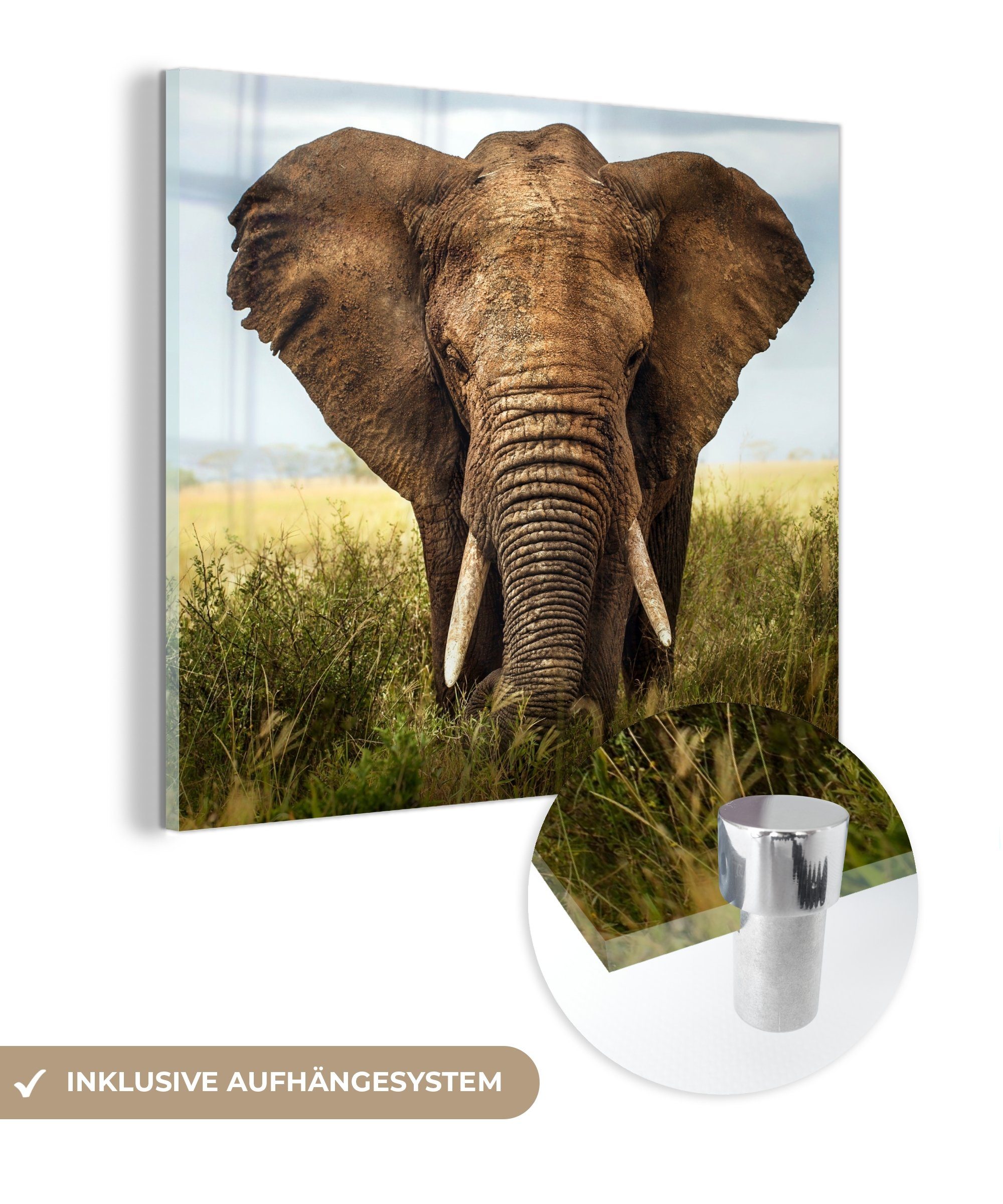 MuchoWow Acrylglasbild Afrikanischer Elefant Vorderansicht, (1 St), Glasbilder - Bilder auf Glas Wandbild - Foto auf Glas - Wanddekoration bunt