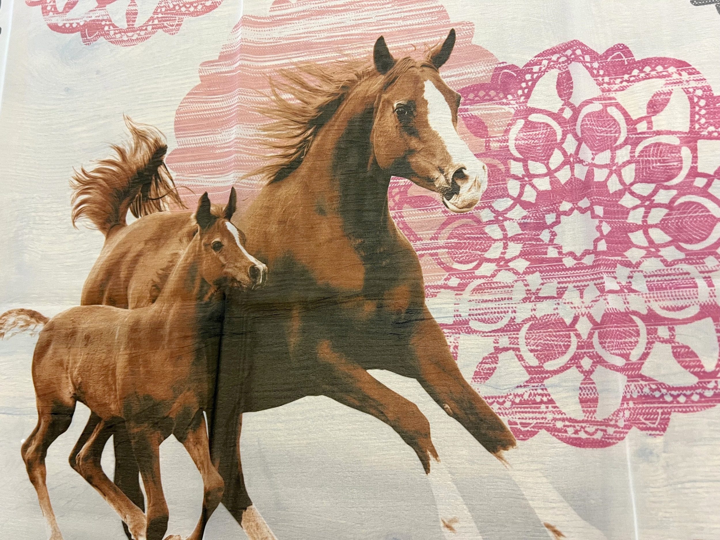 moments by ALBANI GROUP Vorhang Schlaufenschal, Pferd mit Fohlen, BxH 135x245cm, Multifunktionsband, transparent