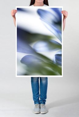Sinus Art Poster Naturfotografie 60x90cm Poster Blaue Blütenblätter