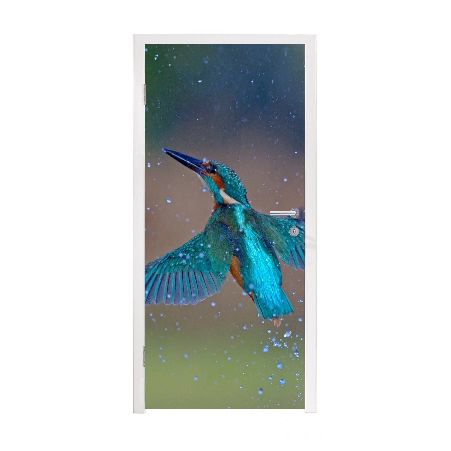 MuchoWow Türtapete Eisvogel - Tür, Matt, cm (1 - Türaufkleber, 75x205 Fototapete für Blau, Fliegen St), bedruckt