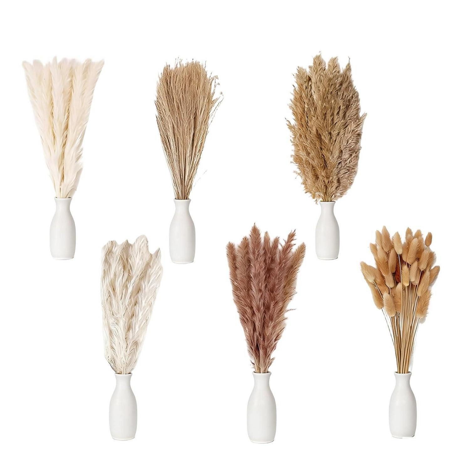 Trockenblume Pampasgras Trockenblumen Set 110 Stk Deko Boho, LuxusKollektion, Höhe 10 cm