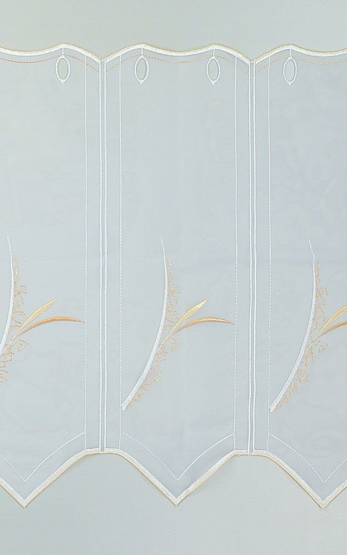 30x49.2cm Spitze®, transparent, HxB Strelitzia, Plauener (1 Scheibengardine St),