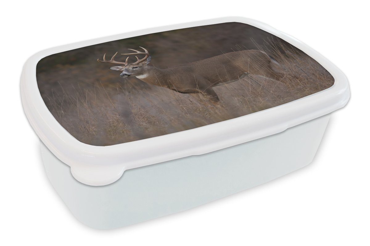MuchoWow Lunchbox Herbst - Hirsche - Gras - Natur - Tiere, Kunststoff, (2-tlg), Brotbox für Kinder und Erwachsene, Brotdose, für Jungs und Mädchen weiß