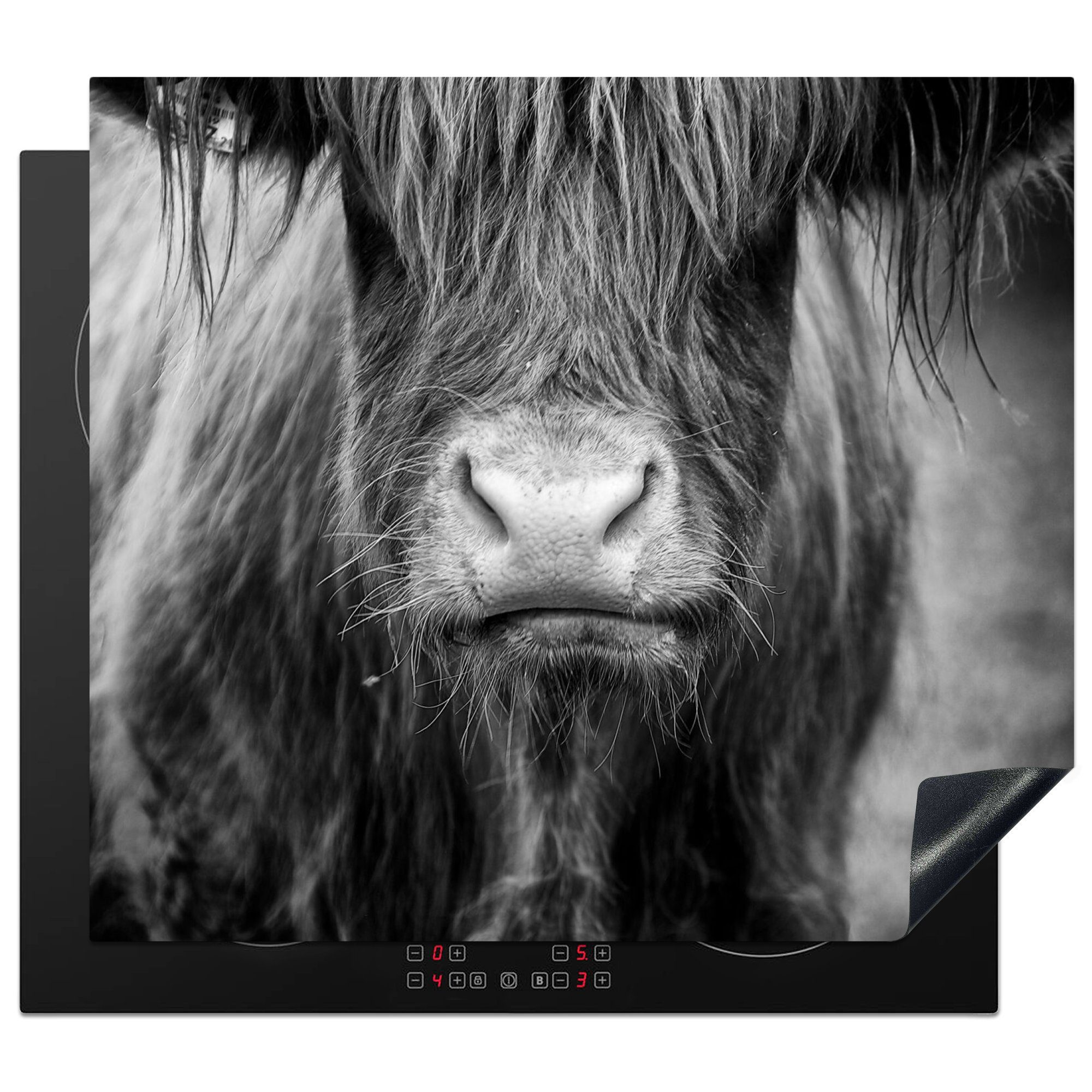 MuchoWow Herdblende-/Abdeckplatte Schottischer Highlander - Kuh - Schwarz - Weiß - Tiere, Vinyl, (1 tlg), 59x51 cm, Induktionsschutz, Induktionskochfeld, Ceranfeldabdeckung