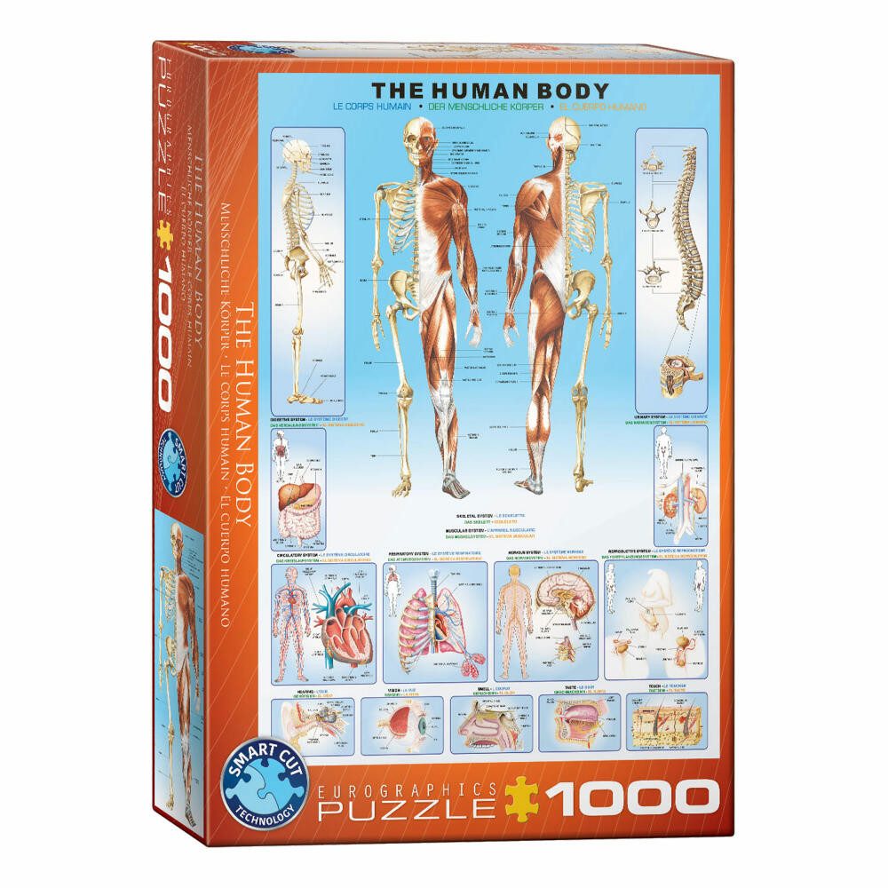 EUROGRAPHICS Puzzle Der menschliche Körper, 1000 Puzzleteile