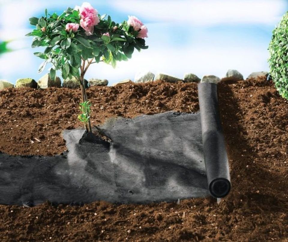 HAC24 Unkrautvlies Gartenvlies Unkrautfolie Mulchfolie Unkrautplane Gartenvlies, (1-St), je 1 x 10m, 50g/m²