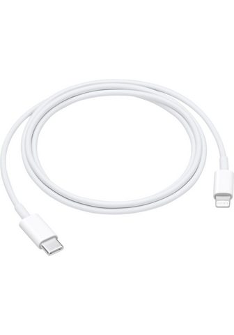 Apple »USB-C ant Lightning Kabel« Smartphone...