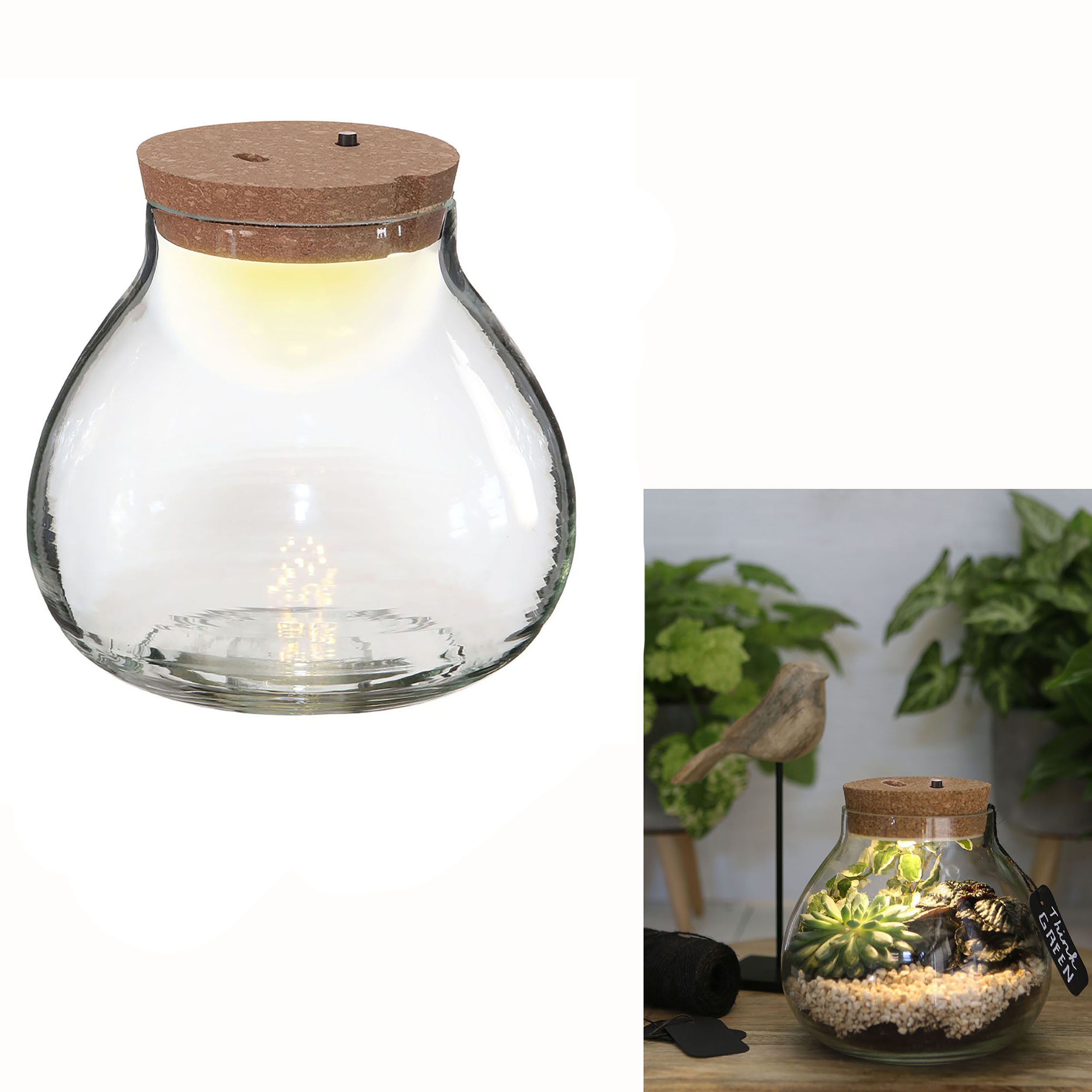 Annastore Übertopf Pflanz-Terrarium mit LED-Beleuchtung - Pflanzenglas - Flaschengarten, Pflanzenterrarium, Glas-Terrarium
