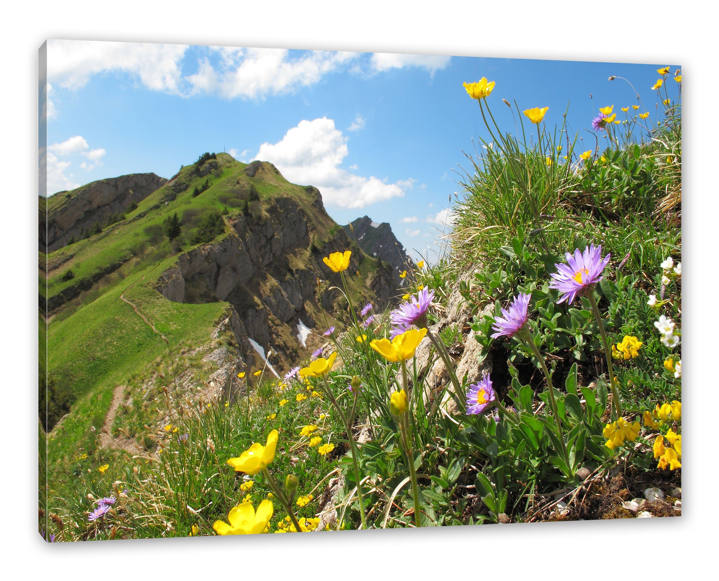 Pixxprint Leinwandbild Blumenwiese im Frühling, Blumenwiese im Frühling (1 St), Leinwandbild fertig bespannt, inkl. Zackenaufhänger