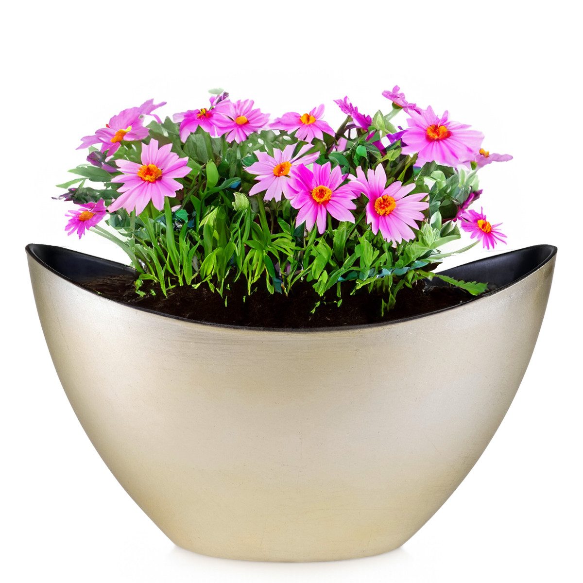 matches21 HOME & HOBBY Blumentopf Pflanzschale Jardiniere oval 24 cm Vintage gold-farben für aussen (1 St), Outdoor Schiff Deko-Schale als Blumen-Schale Pflanz-Topf Garten-Deko